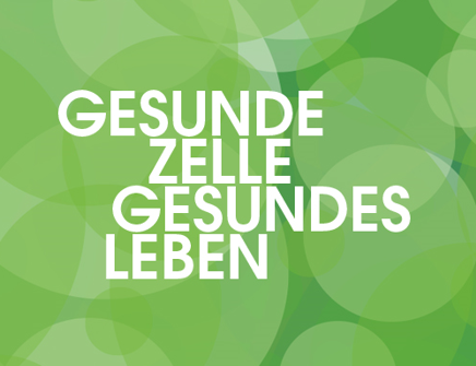 Physiotherapiezentrum laimer
